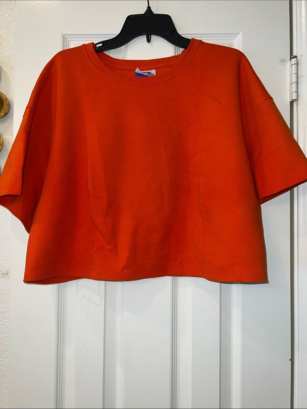 Target X Kahlana Barfield Brown Orange Boxy Cropped Tee 1X